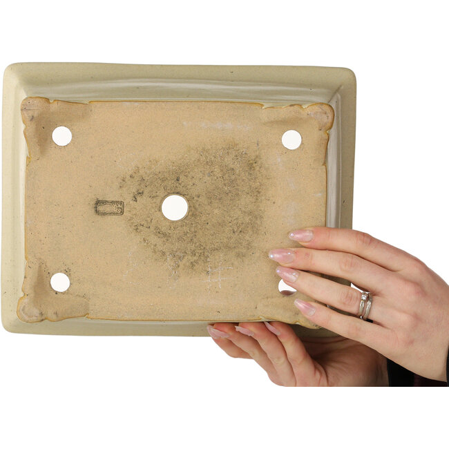 Pot à bonsaï rectangulaire blanc cassé de Reiho - 272 x 212 x 97 mm