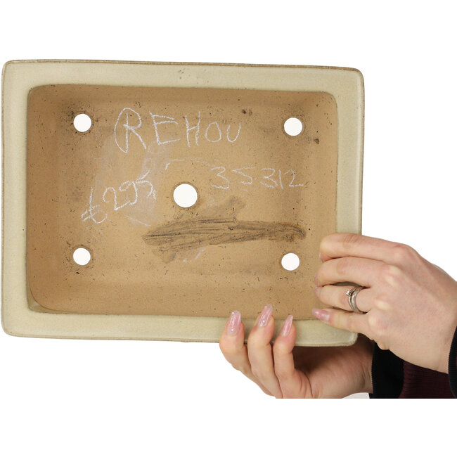 Pot à bonsaï rectangulaire blanc cassé de Reiho - 272 x 212 x 97 mm