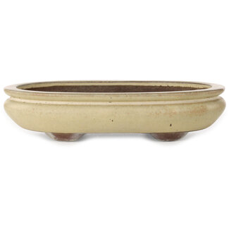  Yamaaki Maceta para bonsái ovalada de 305 mm en color beige de Yamaaki, Tokoname, Japón