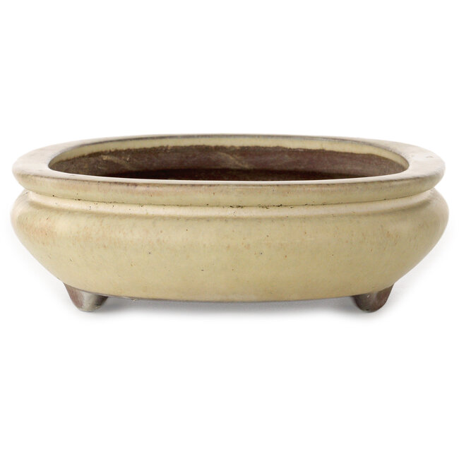 Oval beige bonsai pot by Yamaaki - 305 x 217 x 68 mm