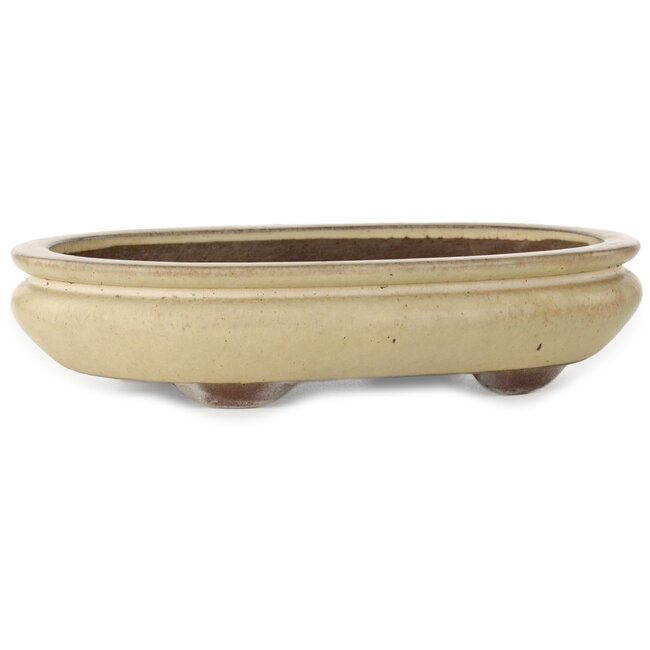 Maceta ovalada beige para bonsái de Yamaaki - 305 x 217 x 68 mm