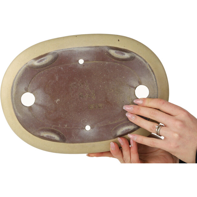 Pot à bonsaï ovale beige de Yamaaki - 305 x 217 x 68 mm