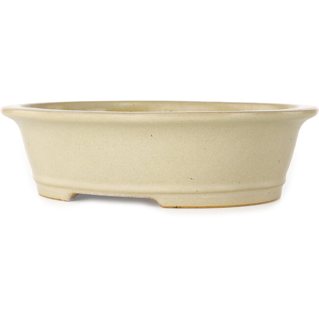 Maceta ovalada para bonsái de color blanco roto de Reiho - 292 x 245 x 83 mm