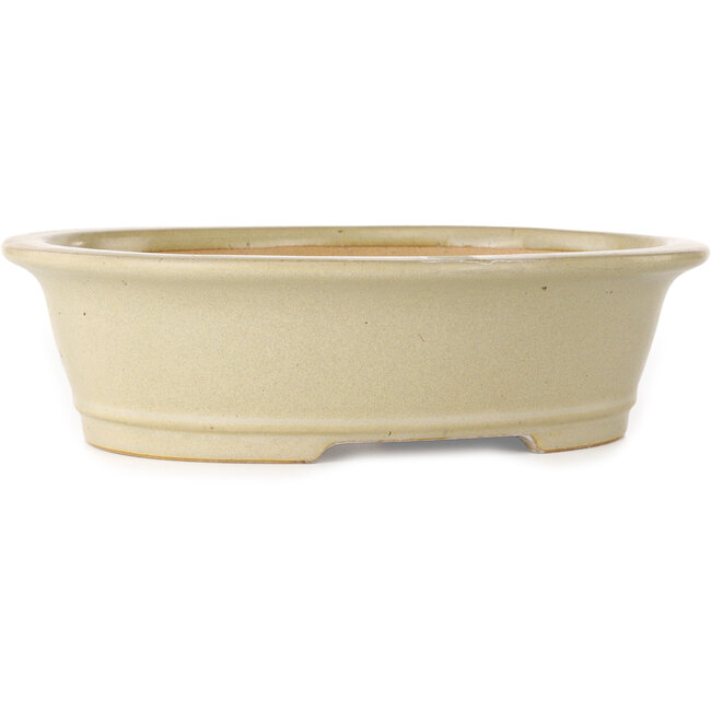Ovaler, cremefarbener Bonsai-Topf von Reiho – 292 x 245 x 83 mm