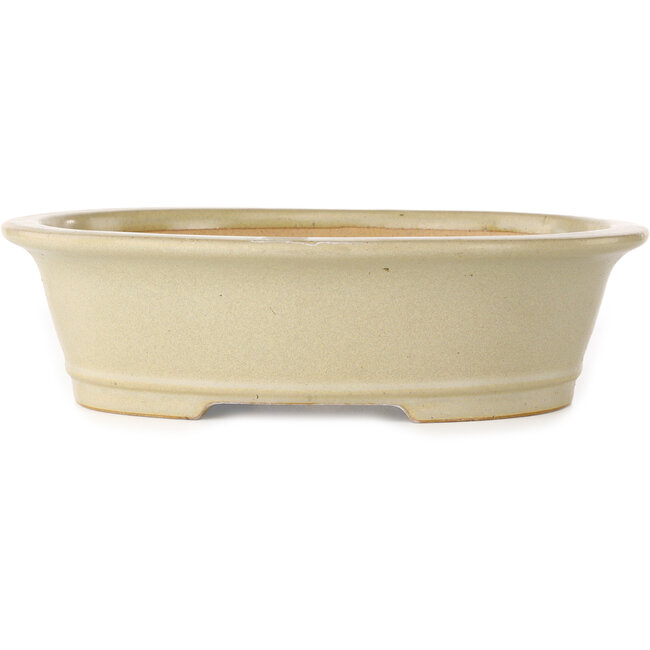Pot à bonsaï ovale blanc cassé de Reiho - 292 x 245 x 83 mm