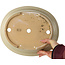 Oval off-white bonsai pot by Reiho - 292 x 245 x 83 mm