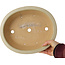 Ovale, gebroken witte bonsaipot van Reiho - 292 x 245 x 83 mm