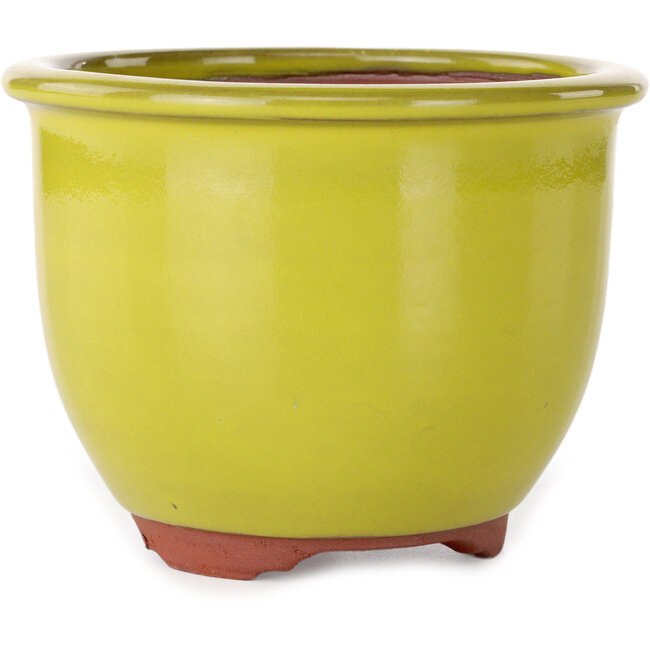 Round yellow bonsai pot by Eime Yozan - 120 x 120 x 93 mm