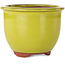 Ronde gele bonsaipot van Eime Yozan - 120 x 120 x 93 mm