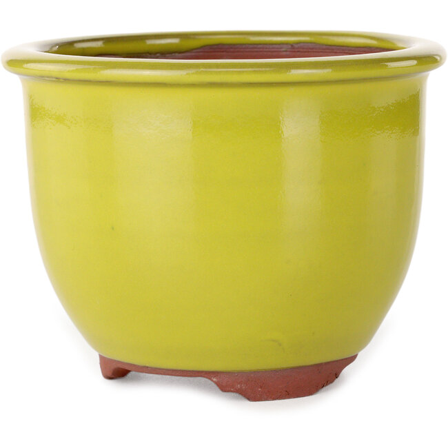 Round yellow bonsai pot by Eime Yozan - 120 x 120 x 93 mm