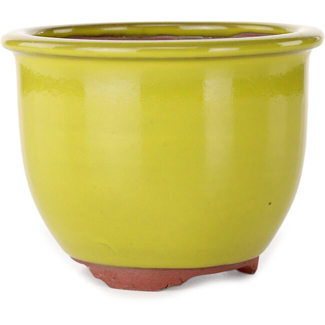 Round yellow bonsai pot by Eime Yozan - 120 x 120 x 93 mm
