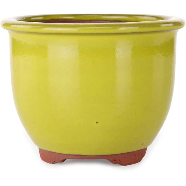 Ronde gele bonsaipot van Eime Yozan - 120 x 120 x 93 mm