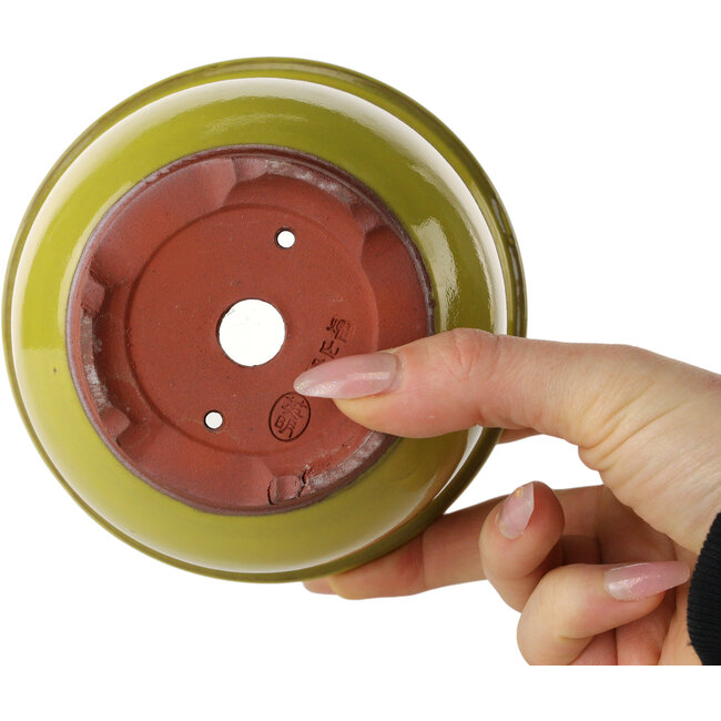 Vaso bonsai rotondo giallo di Eime Yozan - 120 x 120 x 93 mm