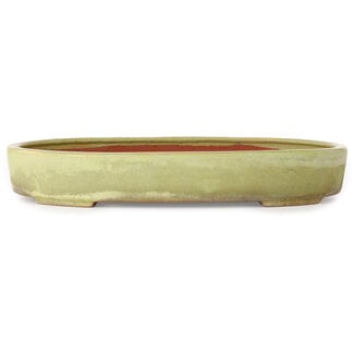  Reihou (Bonsai Matsushita Hiroyuki or Mr.MATSUSHITA Reiji    Master) 347 mm oval off-white bonsai pot by Reiho, Tokoname, Japan