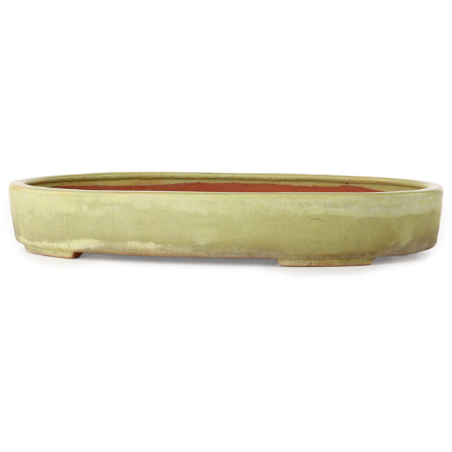Oval off-white bonsai pot by Reiho - 347 x 257 x 53 mm