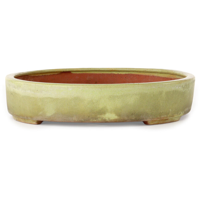 Ovaler, cremefarbener Bonsai-Topf von Reiho – 347 x 257 x 53 mm