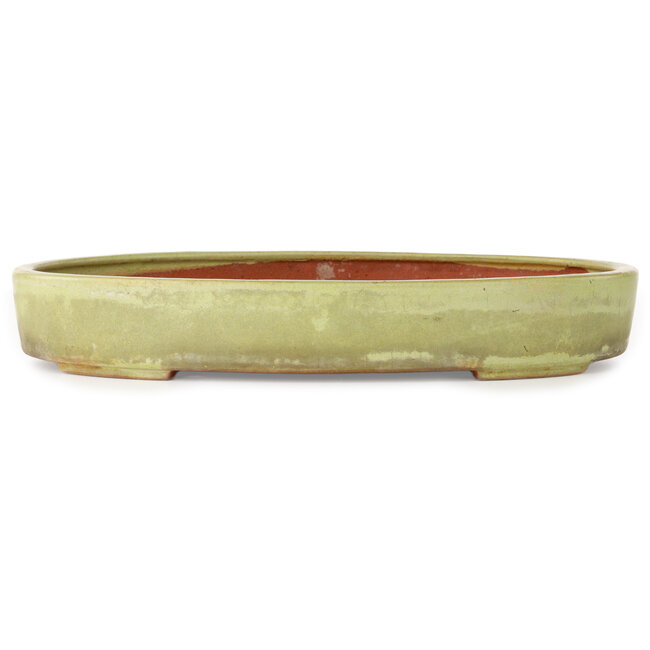 Maceta ovalada para bonsái de color blanco roto de Reiho - 347 x 257 x 53 mm