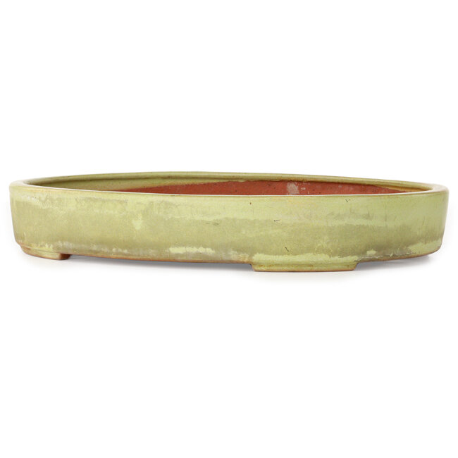 Oval off-white bonsai pot by Reiho - 347 x 257 x 53 mm