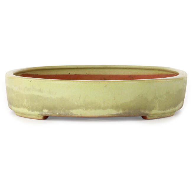 Ovale, gebroken witte bonsaipot van Reiho - 347 x 257 x 53 mm