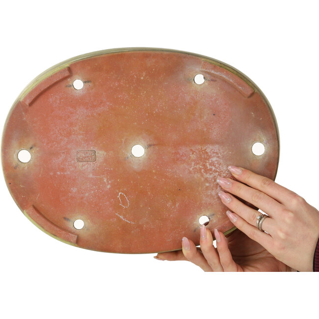 Pot à bonsaï ovale blanc cassé de Reiho - 347 x 257 x 53 mm