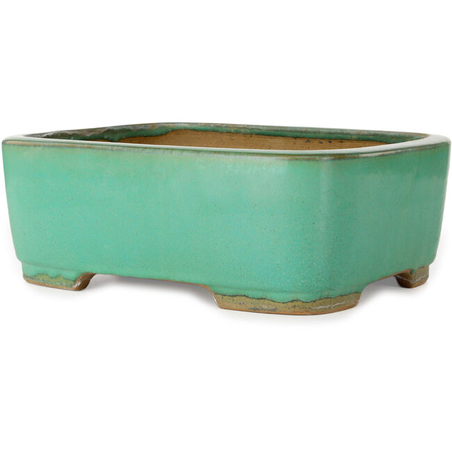 Oval turquoise bonsai pot by Yamafusa - 315 x 240 x 113 mm