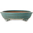 Pot à bonsaï ovale turquoise de Reiho - 423 x 330 x 80 mm