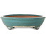 Ovale turquoise bonsaipot van Reiho - 423 x 330 x 80 mm