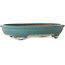 Ovale turquoise bonsaipot van Reiho - 423 x 330 x 80 mm