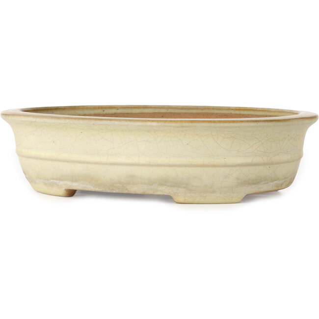 Ovaler, cremefarbener Craquelé-Bonsaitopf von Yamafusa – 352 x 277 x 87 mm