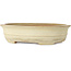 Maceta ovalada para bonsái craquelé blanco roto de Yamafusa - 352 x 277 x 87 mm