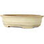 Ovaler, cremefarbener Craquelé-Bonsaitopf von Yamafusa – 352 x 277 x 87 mm