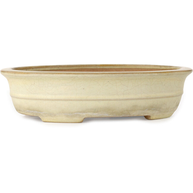 Maceta ovalada para bonsái craquelé blanco roto de Yamafusa - 352 x 277 x 87 mm