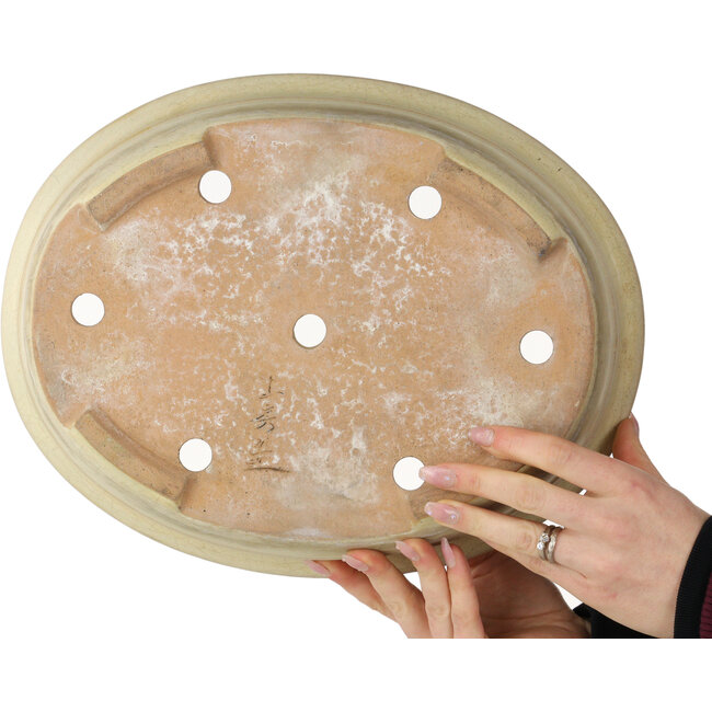 Maceta ovalada para bonsái craquelé blanco roto de Yamafusa - 352 x 277 x 87 mm