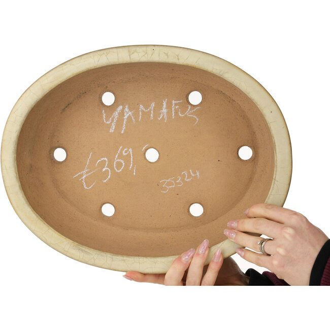 Maceta ovalada para bonsái craquelé blanco roto de Yamafusa - 352 x 277 x 87 mm