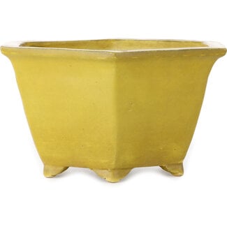  Shuuhou (Hidemi Kataoka) 272 mm hexagonal yellow bonsai pot by Shuhou, Tokoname, Japan