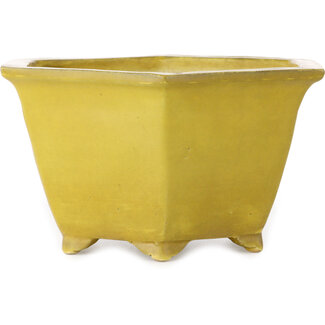  Shuuhou (Hidemi Kataoka) Maceta para bonsái hexagonal amarilla de 272 mm de Shuhou, Tokoname, Japón
