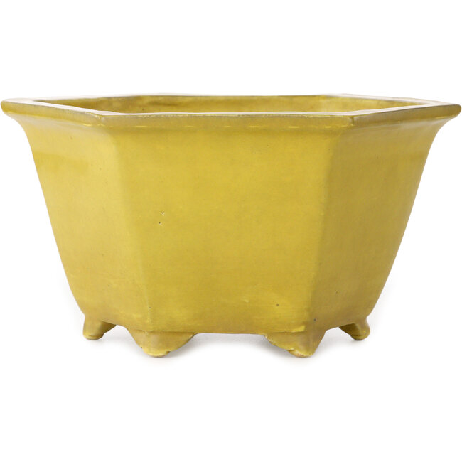 Vaso bonsai esagonale giallo di Shuhou - 272 x 272 x 147 mm