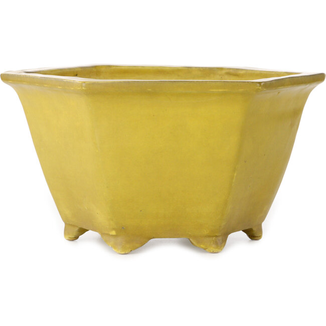 Vaso bonsai esagonale giallo di Shuhou - 272 x 272 x 147 mm