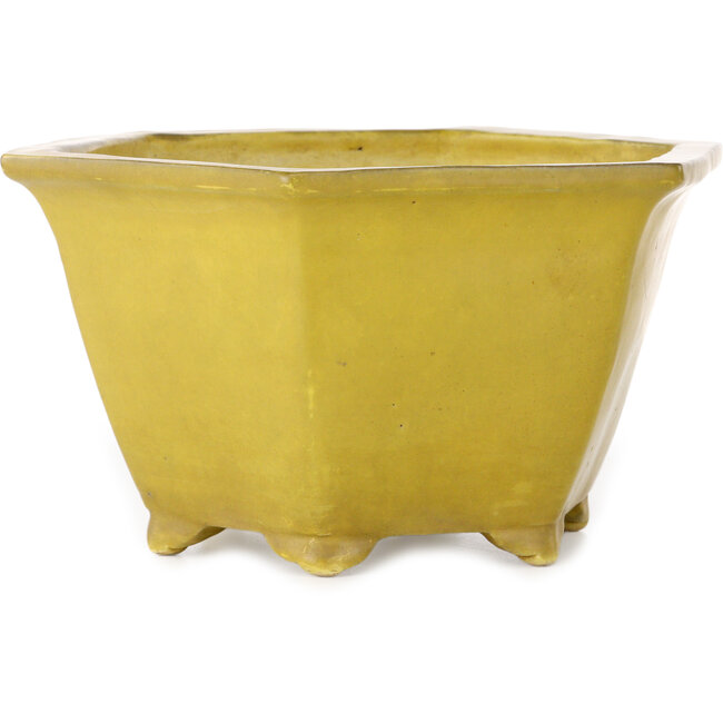 Hexagonal yellow bonsai pot by Shuhou - 272 x 272 x 147 mm