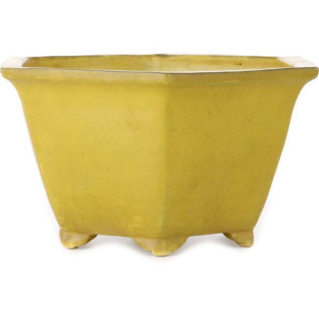 Hexagonal yellow bonsai pot by Shuhou - 272 x 272 x 147 mm