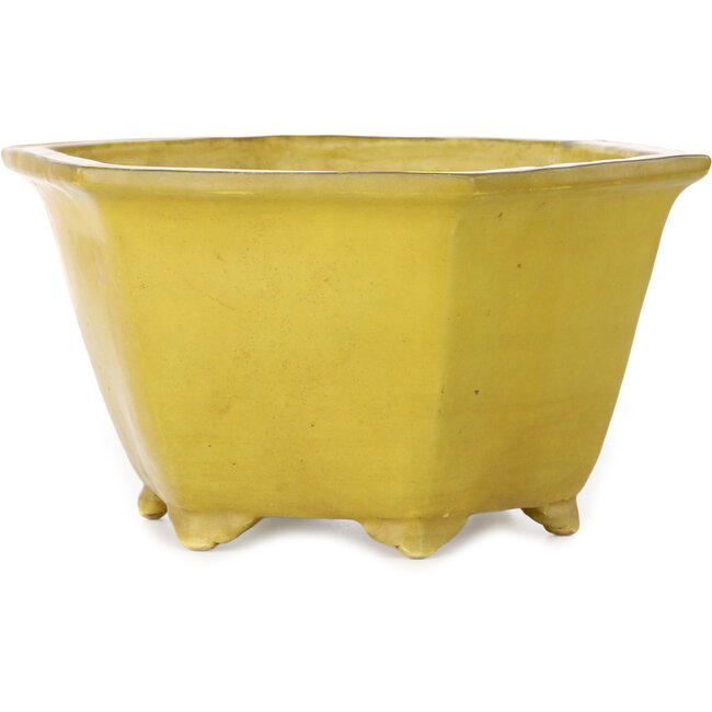 Maceta hexagonal amarilla para bonsái de Shuhou - 272 x 272 x 147 mm