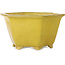 Vaso bonsai esagonale giallo di Shuhou - 272 x 272 x 147 mm