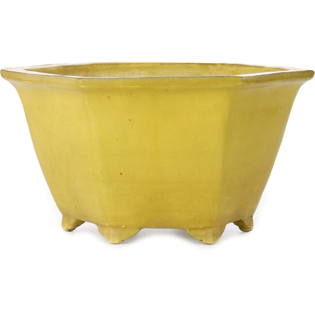 Hexagonal yellow bonsai pot by Shuhou - 272 x 272 x 147 mm