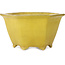 Hexagonal yellow bonsai pot by Shuhou - 272 x 272 x 147 mm