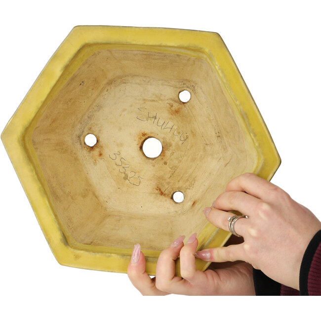 Hexagonal yellow bonsai pot by Shuhou - 272 x 272 x 147 mm