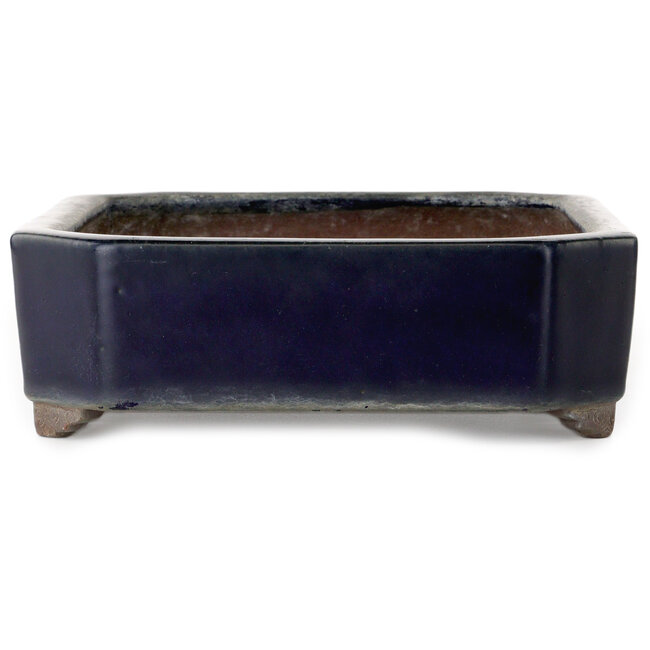 Ovale donkerblauwe bonsaipot van Yamaaki - 318 x 243 x 78 mm