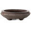 Pot ovale non émaillé pour bonsaï - 290 x 210 x 60 mm