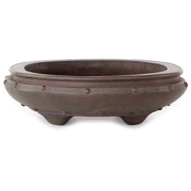 Vaso bonsai ovale non smaltato - 290 x 210 x 60 mm