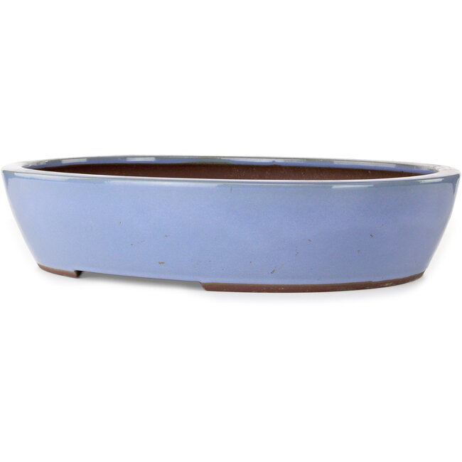 Vaso bonsai ovale blu di Yamaaki - 477 x 402 x 100 mm