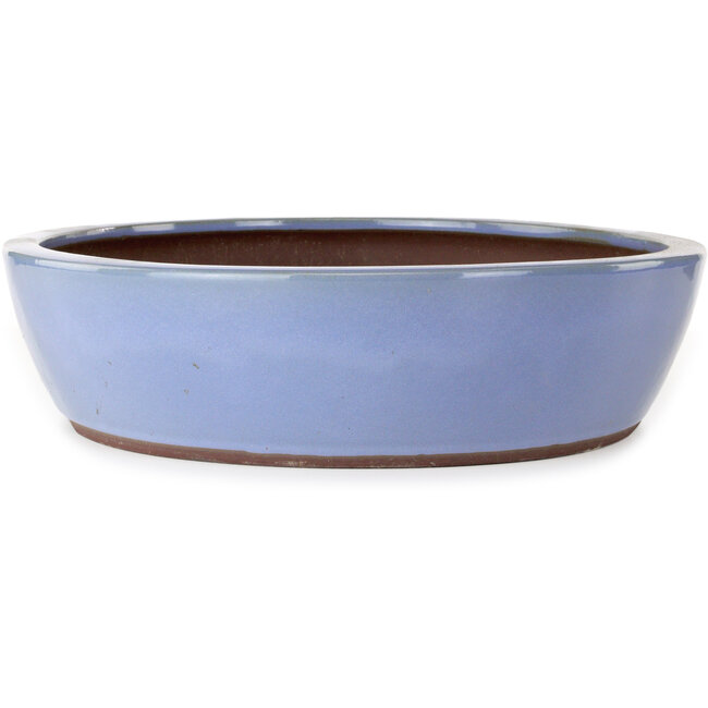 Maceta ovalada azul para bonsái de Yamaaki - 477 x 402 x 100 mm